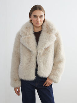 Ceket Yaka Kad?n K?rk Mont