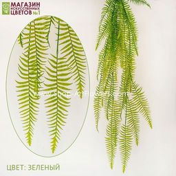 179 Папоротник свисающий 120 см.