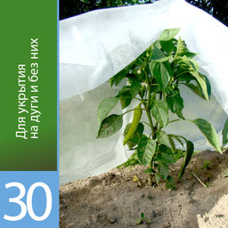 Агротекс 30 (спанбонд) (1,6х10м)