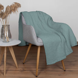 24С117-ШР/у./л.с.уп. 165*220 Плед "Зефир" цв. 2037 рис. 1 голубая ель