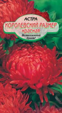 Королевский размер Красная астра 0,2гр (ссс)