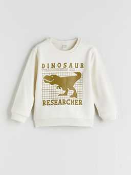 ?izgili Erkek ?ocuk Kal?n Sweatshirt