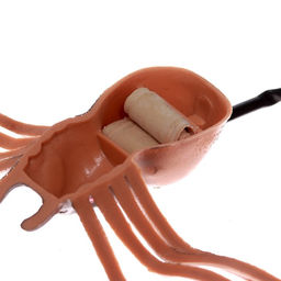 Прыгающий Паук - Simaland фото 2