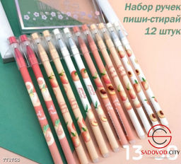 Набор ручек пиши-стирай