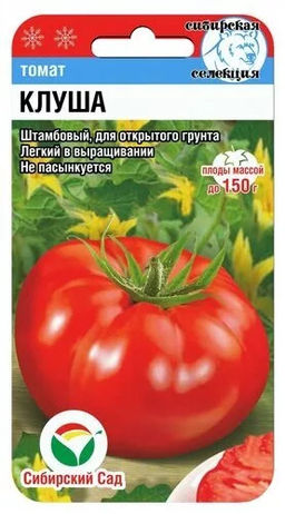 Клуша томат 20шт (сс)