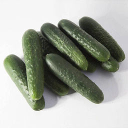 Огурец Синклёр F1 (KS 80)