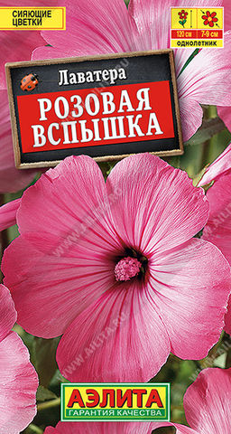Лаватера Розовая вспышка (2027)