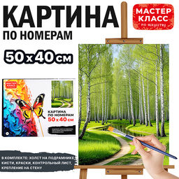 Набор для рисования "Картина по номерам 40*50 см. Березовая роща"