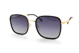 SISSI POLARIZED С ФУТЛЯРОМ 2283 C1 53-20-145