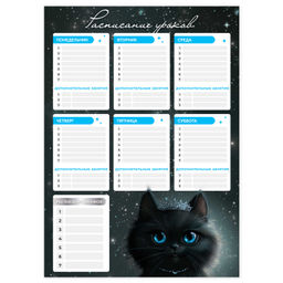 Цена за 2 шт. Расписание уроков А3, арт. 68846/ 50 ПРИНЦЕССА ЛУНА (297х420 мм, материал: мелованный картон 235 г/м
