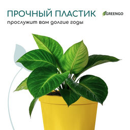 Цена за 2 шт. Горшок для рассады, 5 л, d=22 см, h=18 см, пластик, жёлтый, Greengo