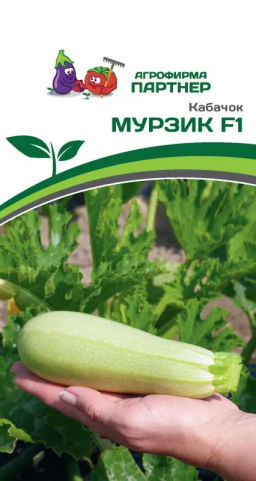 Кабачок Мурзик