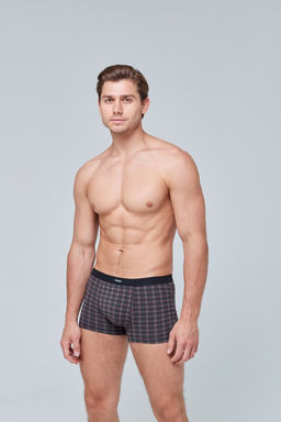 Трусы мужские боксеры Rogers 83134 модал, эластан размеры M, L, XL, 2XL  фото 2