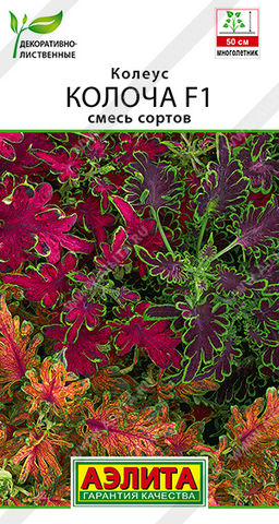 2012A Колеус Колоча F1, смесь сортов 5шт
