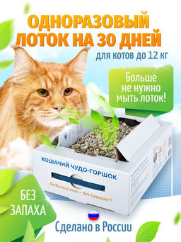 Кошачий туалет с наполнителем 48×35×10см Большой