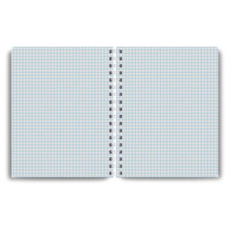 Светоч Т214 Тетрадь общая с твердой обложкой, матовая ламинация A5 80 л. на гребне 65 г/кв.м , белизна 100 % 4 шт. клетка 01568 Весенняя романтика