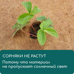 Круг приствольный, d = 0,2 м, из кокосового полотна, Greengo