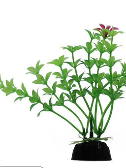 Растение Алиса 355S (3*10см)