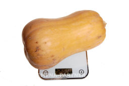 Тыква Матильда - Партнер фото 3