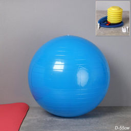 Мяч гимнастический 55см / FB55-BL / насос + игла / Синий / уп 40 шт