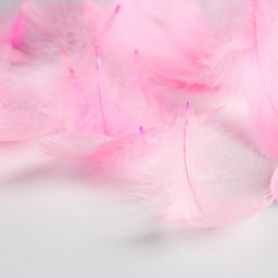 Наполнитель из перьев для шаров и подарков Нежность , 15 х 11 см