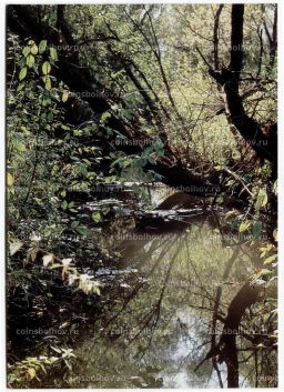 Открытка река Гостомля