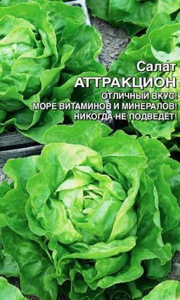 Салат АТТРАКЦИОН  Отличный вкус! Море витаминов и минералов! Никогда не подведёт!