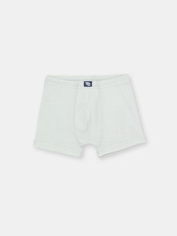 CWJB 10119-23 Трусы-боксеры для мальчика, серый