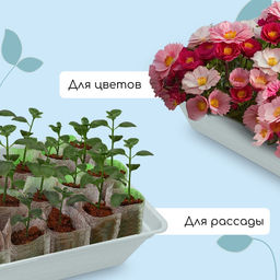 Цена за 2 шт. Ящик для рассады, 40×25×10 см, 5 л, пластик, МИКС, «Садовита 8» - Simaland фото 8