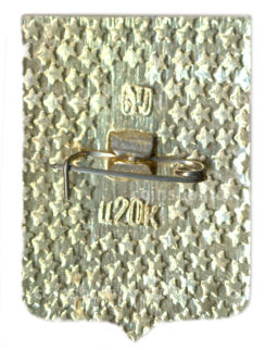 Значок Верхнеднепровск