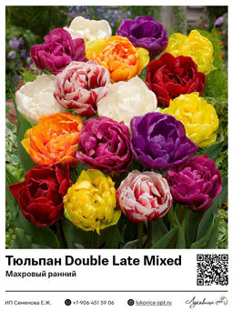 Тюльпан Double Late Mixed (Махровый поздний)