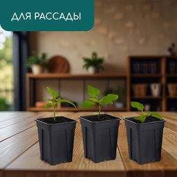 Цена за 20 шт. Горшок для рассады, 250 мл, 6.7×6.7×8 см, пластик, чёрный, Greengo