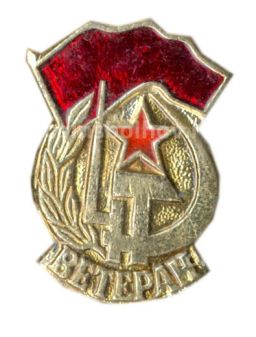 Значок Ветеран Вооруженных Сил ССР