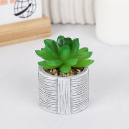 Цветочная композиция Кактус / WER-22 /уп 12/192/ микс - Галеонтрейд фото 6