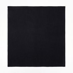 Набор салфеток «Этель» Black, 40×40 см - 2 шт., 100% лён