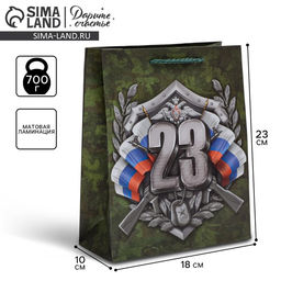 Цена за 2 шт. Пакет подарочный ламинированный, упаковка, «С 23 февраля», MS 18×23×10 см