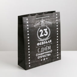 Пакет подарочный ламинированный, упаковка, «Защитнику», M 26×30×9 см