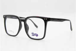 Оправа Bosiyan 2054 56-21-148 C1 с насадкой Polarized
