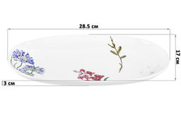 Блюдо 28,5*17*3 см "Ботанический атлас"