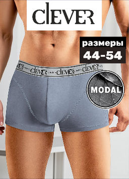 Трусы мужские шорты МОДАЛ - Clever wear фото 17