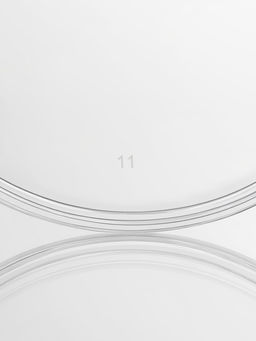 Цена за 225 шт. Ведро одноразовое с крышкой, 500 мл, d=12.2 см, h=6 см, пластик, прозрачное