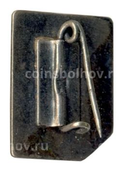 Значок Кострома