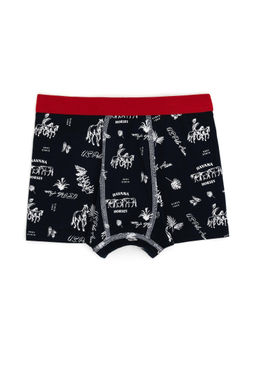 Комплект боксеров U.S. Polo Assn для мальчика набор 3 пары из хлопка  фото 5