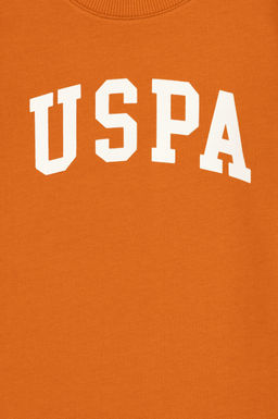 Базовый свитшот с корицей для мальчиков - U.s. polo assn фото 3