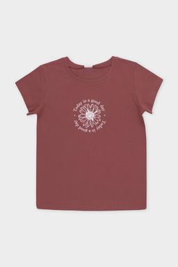 Crockid _ КП 302763/шоколадный десерт фуфайка для дев