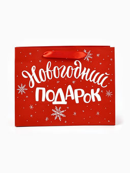 Цена за 2 шт. Пакет подарочный ламинированный «Новогодний подарок», MS 23×18×10 см