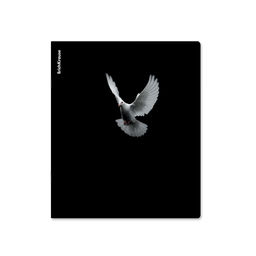 АКЦИЯ Цена за 5 шт. Тетрадь общая ученическая ErichKrause High Fly, 48 листов, клетка