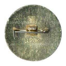 Значок Золотое кольцо - Вязники