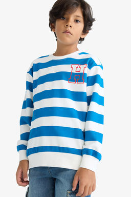 Bisiklet Yaka _izgili Sweatshirt Erkek _ocuk