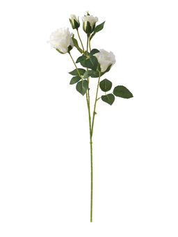Цветы искусственные "Роза Августина галант" d-6 см 55 см, белый